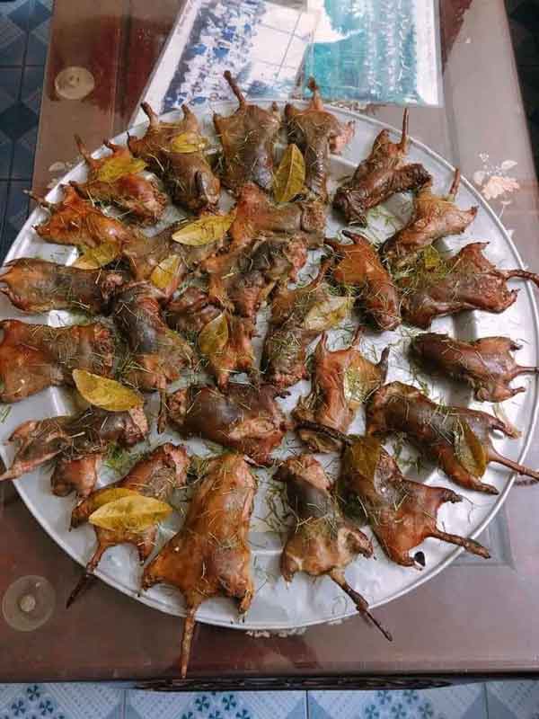 “Làng chuột” Vạn Lộc - Món Thịt chuột Nam Định đặc biệt